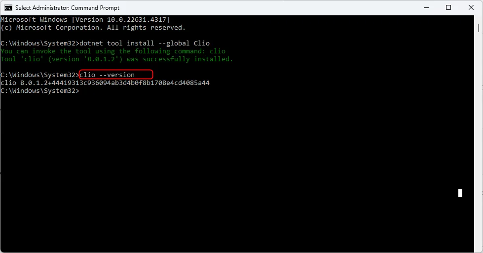 Terminal output showing clio –version confirming installation